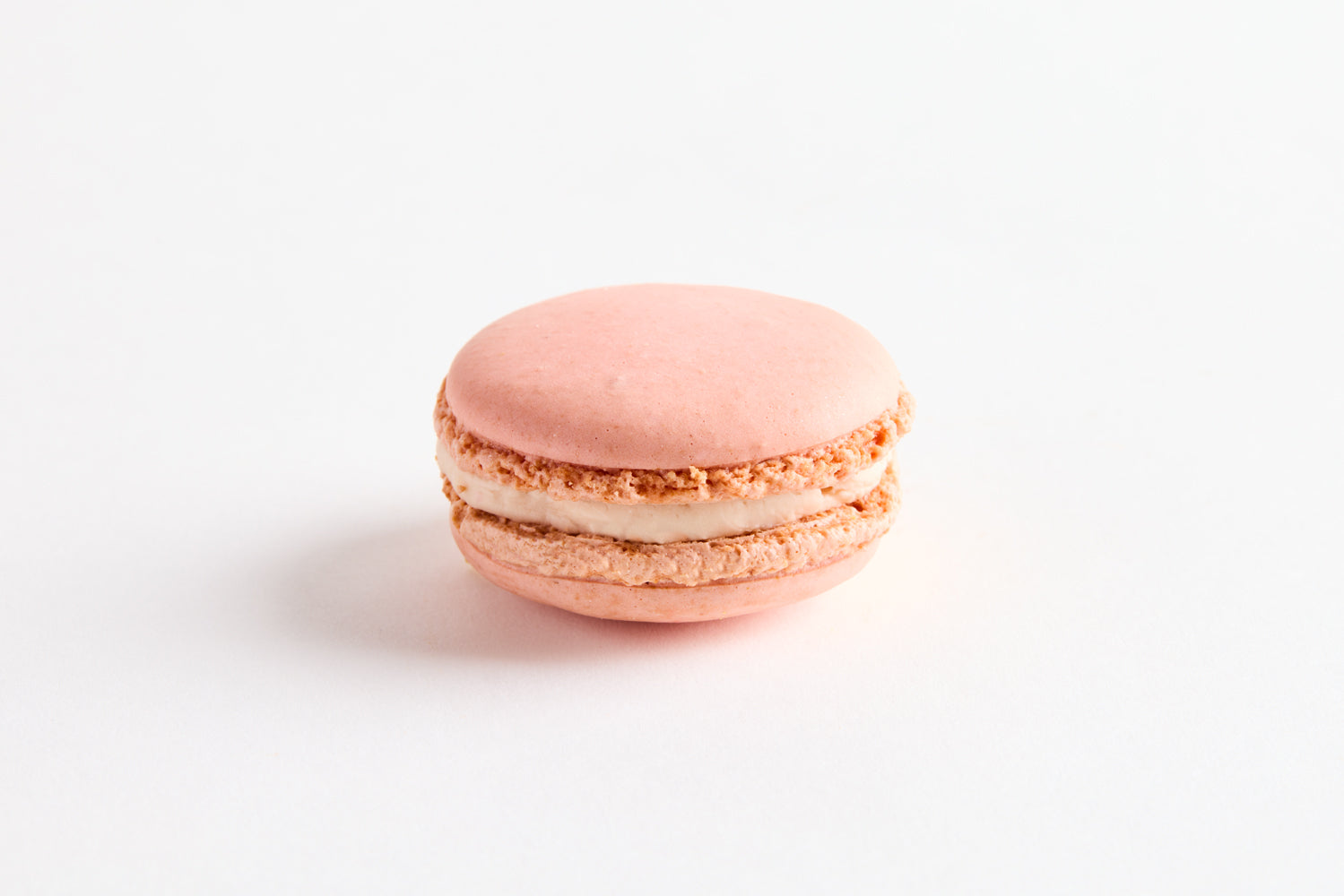 Macaron Rose